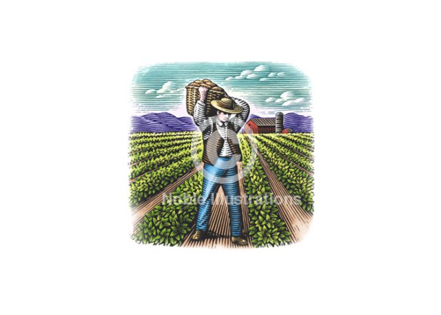 farmer with basket